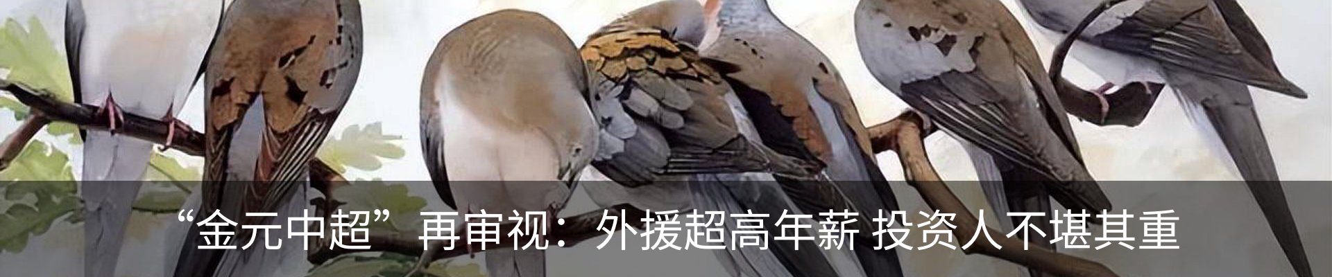 行业资讯